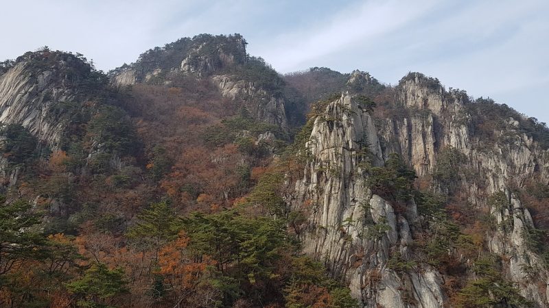 驱动天空打印机驱动 本站内容分区与条目占比